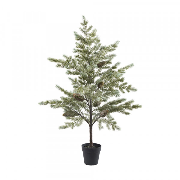 Tannenbaum &quot;Needel Pine&quot; im Topf