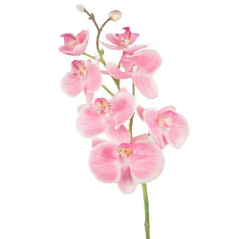 &quot;Real touch&quot; Orchidee