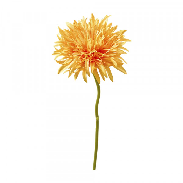 Vorbestellung: (033) Gerbera x1