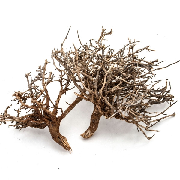 Dry Tree 1000g/Karton