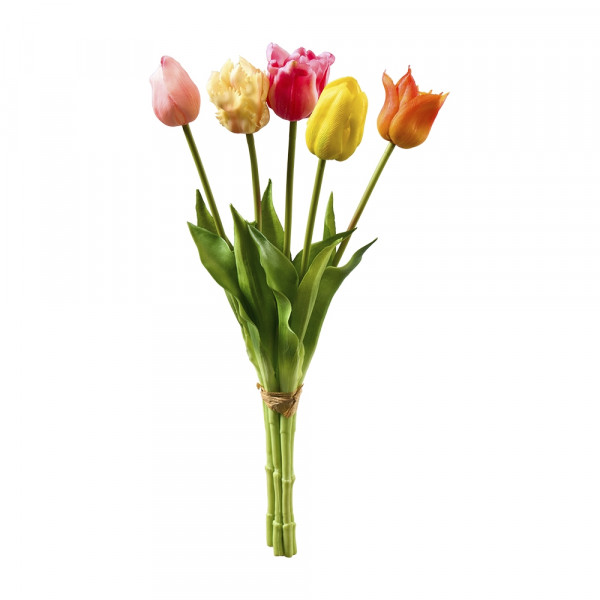 Vorbestellung: (409) Tulpen Mix, x5 im Bund