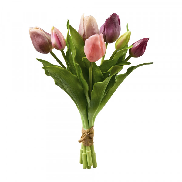 Vorbestellung: (457) Tulpen, x7, Bund