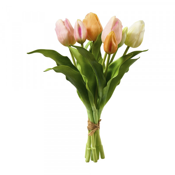 Vorbestellung: (464) Tulpen, x7, Bund