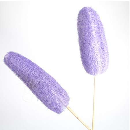 Luffa angestielt