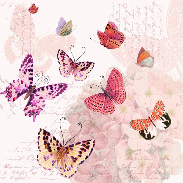 20 Servietten &quot;Butterfly Romance&quot;