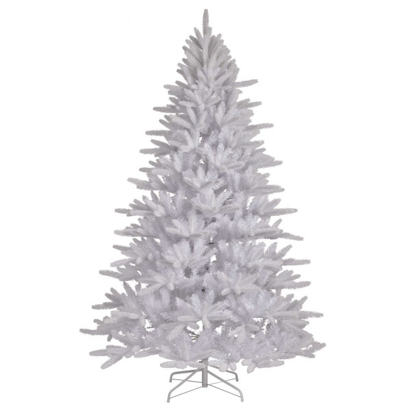 Tannenbaum &quot;Copenhagen&quot;