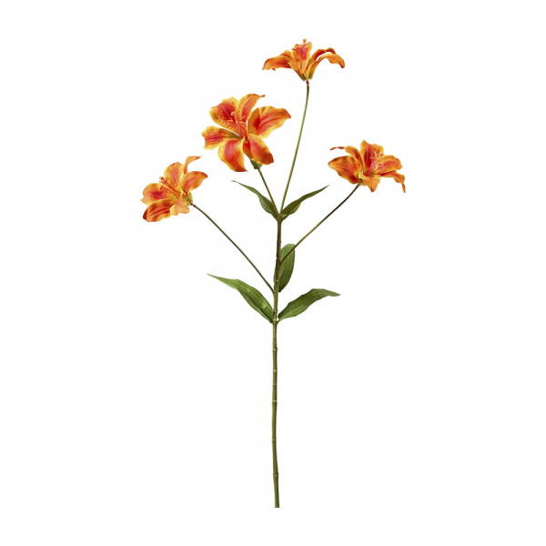 (012) Tiger Lily mit 4 Blüten