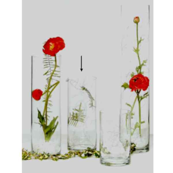 Glas &quot;ZYLINDRO 19cm&quot;