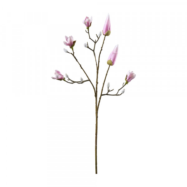 Vorbestellung: (431) Magnolienzweig