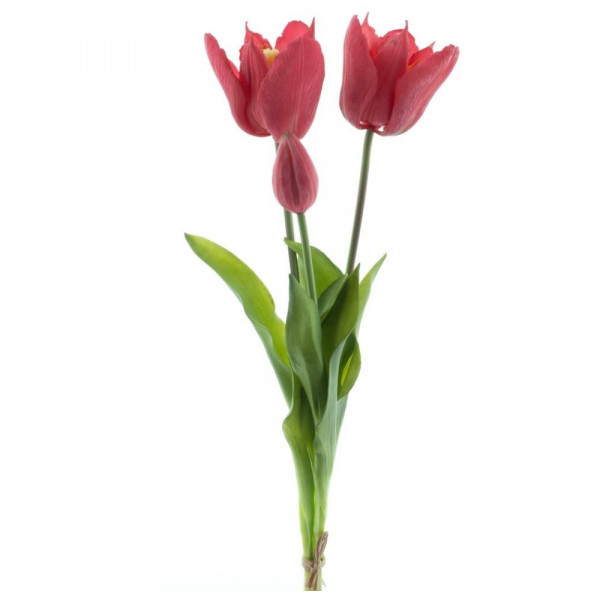 Bündel offene Tulpe &quot;Real touch&quot; x3