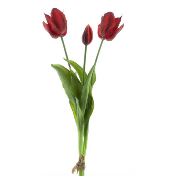 Bündel offene Tulpe &quot;Real touch&quot; x3