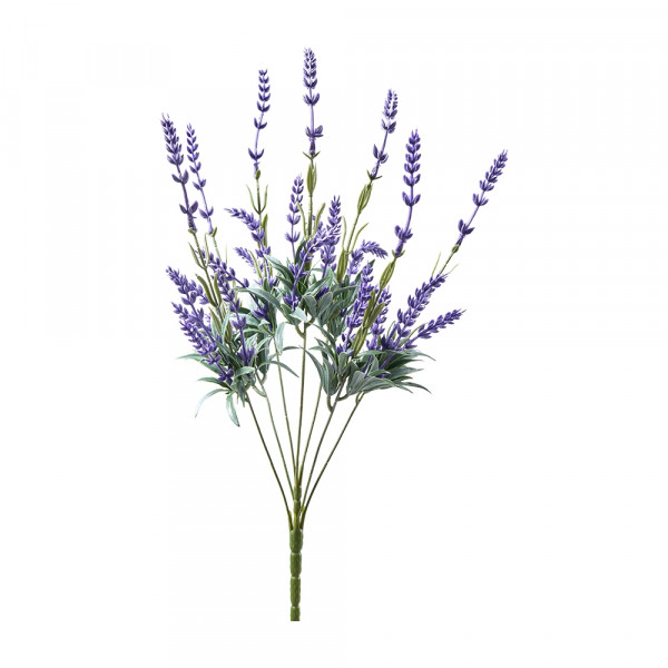 Vorbestellung: (196) Lavendel Pick, Poly, x7